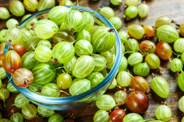 gooseberry on wooden background