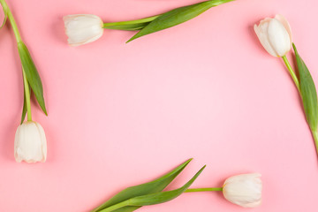 Obraz na płótnie Canvas Beautiful white tulips flowers for holiday.