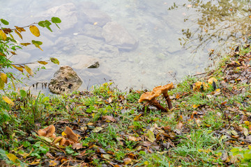 Beautiful autumn landscape around Lake Bled