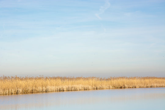 Beautiful quiet typical landscape in the Netherlands. Example of space and tranquility in a small country. The Pelgrimspad, a traditional trail, leads through this appealing and tranquil nature area 