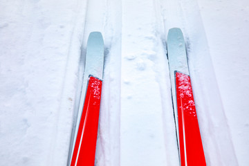 Cross-country skis in winter landscape