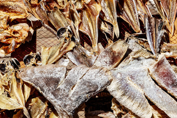 Fish to dry in the sun