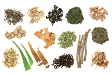 Adaptogen herb and spice selection on white background. Used in herbal medicine to help the body...
