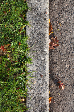 Curb and Grass