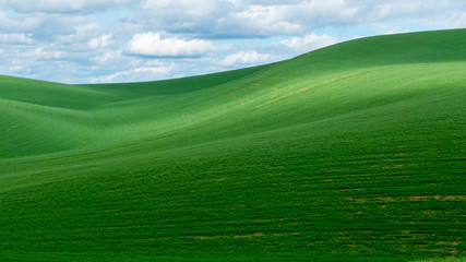 Rolling Hills