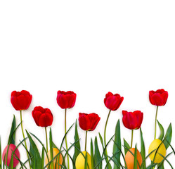 Fototapeta premium Easter decoration. Beautiful flowers red tulips, grass and colored easter eggs on a white background with space for text. Top view, flat lay