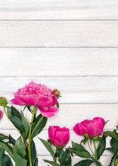 Bouquet of pink peonies on background of white painted wooden planks. Top view, flat lay