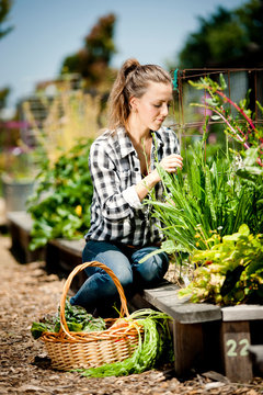 Young woman looking at plants in garden 