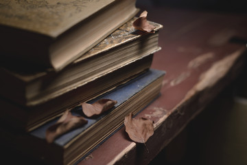 a stack of old vintage books on a red wooden table and dry leaves