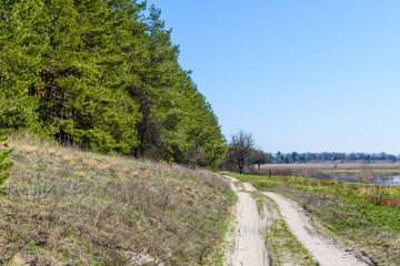 Dirt road near the forest on early spring