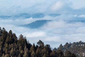 Fog Bank in the Colorado Rockies