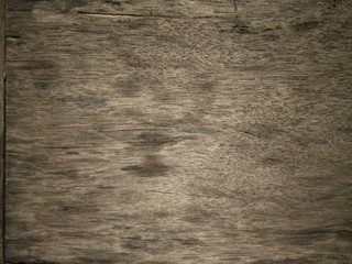 Wood texture. Abstract background