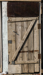 old wooden toilet in the yard