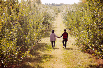 Couple walking along orchard alley 