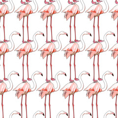 Seamless background with flamingos