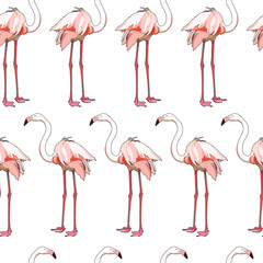 Seamless background with flamingos