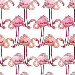 Obraz premium Seamless background with flamingos