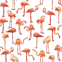 Seamless background with flamingos