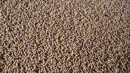 soybean seeds