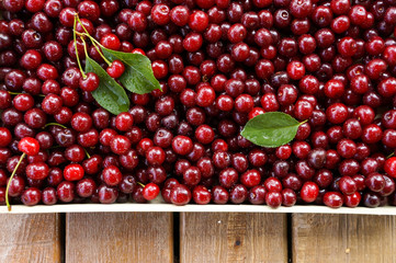 Ripe sweet cherry, harvest of cherry with a leaf
