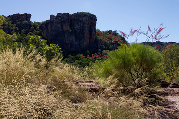 Okolice Nourlangie Rock, Park Narodowy Kakadu, NT, Australia