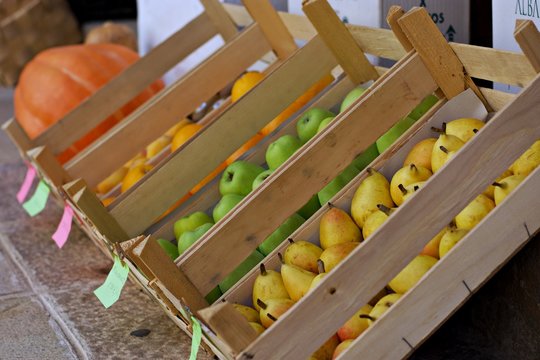 fruter&iacute;a 