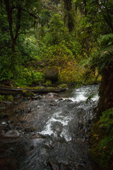 Fototapeta premium La Paz Waterfall Garden, Central Valley, Costa Rica
