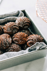 Shell Shaped Muffins