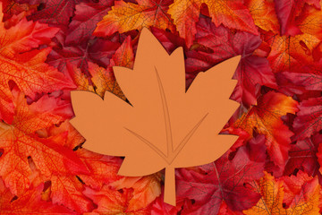Wood maple leaf for the fall season