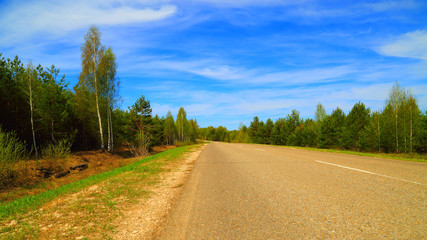 Fototapeta na wymiar road in the forest, spring, sunny day