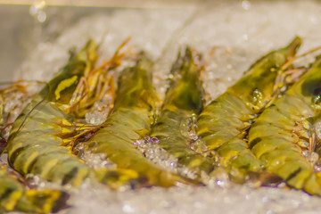 Giant tiger prawns for sale in a supermarket. Extra large size of Penaeus monodon, commonly known as the giant tiger prawn or Asian tiger shrimp is a marine crustacean that is widely reared for food.