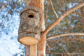 Bird feeder hanging on a tree in a coniferous forest in the Park. Bird house in the tree. Care of fauna.