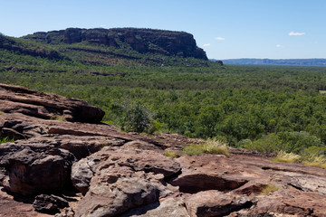 Okolice Nourlangie Rock, Park Narodowy Kakadu, NT, Australia