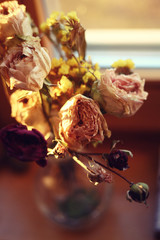 a bouquet of dried flowers on the windowsill at sunny day