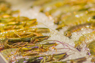 Giant tiger prawns for sale in a supermarket. Extra large size of Penaeus monodon, commonly known as the giant tiger prawn or Asian tiger shrimp is a marine crustacean that is widely reared for food.