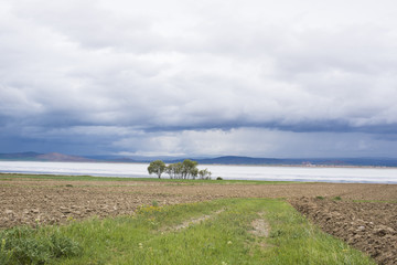 view of the lake, 