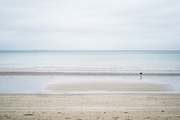 Fototapeta na wymiar lonely at the beach
