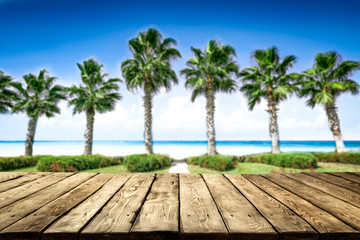 Fototapeta na wymiar desk of free space and coco palms on beach 