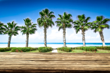 Fototapeta na wymiar desk of free space and coco palms on beach 