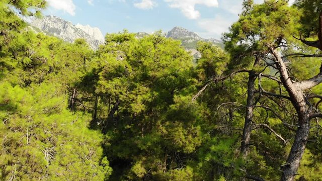Aerial view of Mountains and Coast National Park in Turkey, Beldibi village