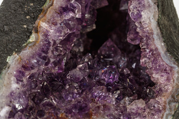 Amethyst Crystal Druse  macro mineral on white background