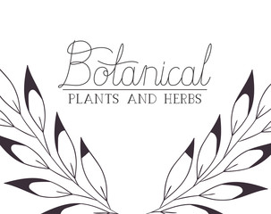 botanical plants and herbs label
