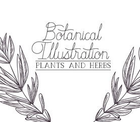 botanical illustration label with plants and herbs
