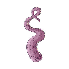 Vector ocopus or squid tentacle sketch icon