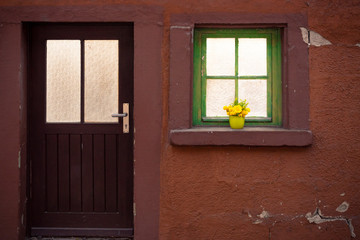 Yellow flowers on a wooden window sill. Red house facade