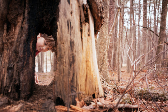 Boy (6-7) looking at tree 