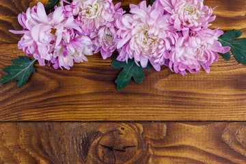 Beautiful chrysanthemums on wooden background. Top view, copy space