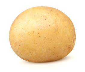 Isolated potatoes. One whole potato isolated on white background with clipping path