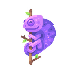 Purple chameleon sitting on a tree branch