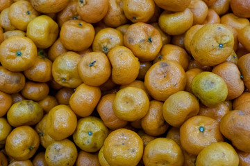 Spoiled tangerines. Background of bad citrus in the store. Rotting fruit goods at the grocery store.